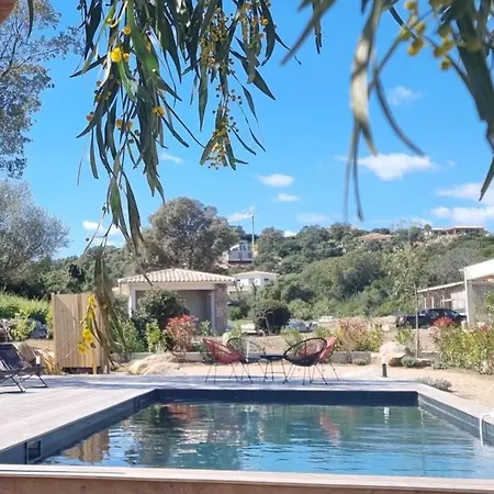 Amazing With Swimming Pool Near The Sea And Pinarellu - Welkeys * Zonza